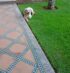 Dresseur de chiens Rabat